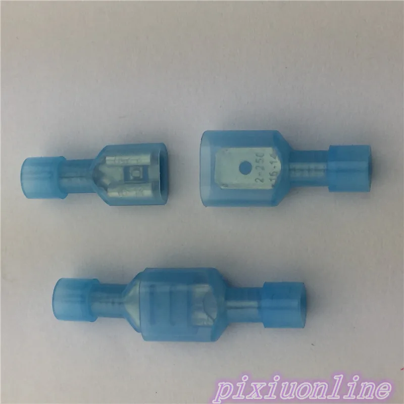 G11 (3)