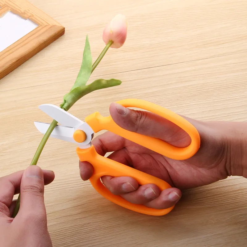 

High quality Flower Scissors Floristry Cutter Tools Multi Colors Flower Twig Clippers Janpanese SK5 Steel