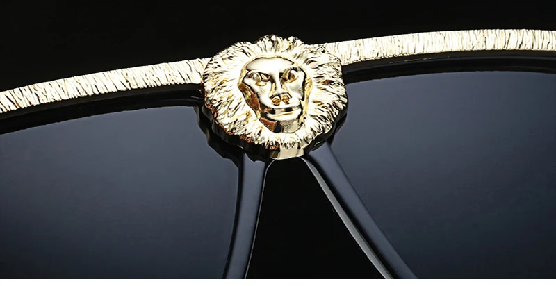 2018 Cat Eye Lion Head Sunglasses (11)