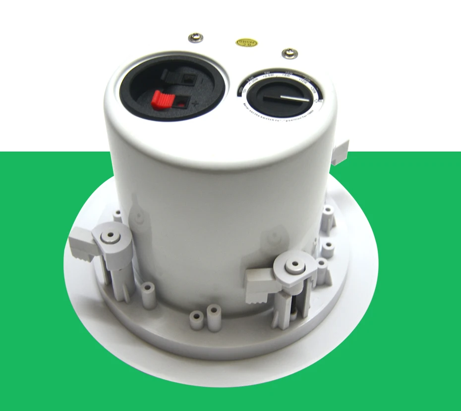 ceiling speaker (6)