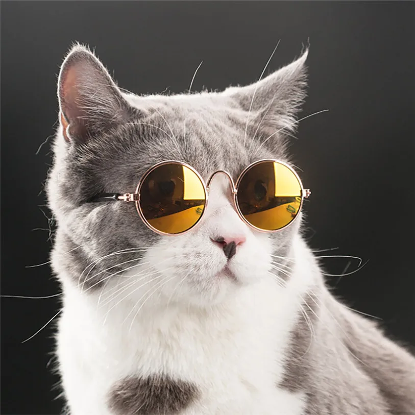 Fashion Glasses Small Pet Dogs Cat Glasses Sunglasses Eye-wear Protection Pet Cool Glasses Pet Photos Props Wholesales 40SP5 (6)