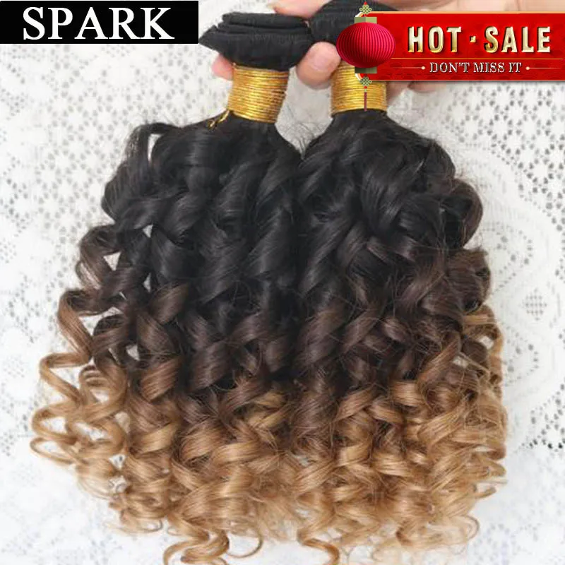 Hot Brazilian Virgin Hair Kinky Curly Virgin Hair 6A Jerry Curly Hair Extension Human Wigs1pc/Lot or mixed length 2 Bundles Rosa