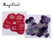 22 шт. натуральные настоящие розы фиолетовые сушеные прессованные цветы для скрапбукинга ремесла