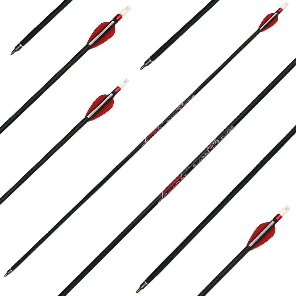 carbon arrows (1)