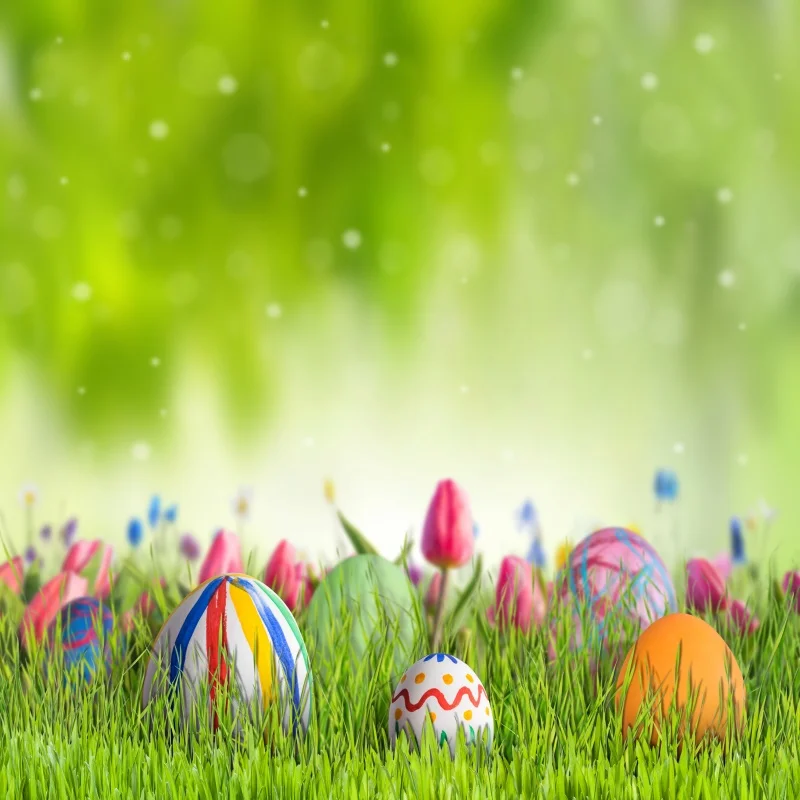 

Laeacco Dreamy Easter Day Egg Green Grass Polka Dots Baby Child Portrait Photographic Backgrounds Photo Backdrops Photo Studio