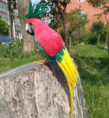 

red&yellow feathers parrot cockatoo artificial bird 30cm handicraft,prop,home garden decoration gift p2737