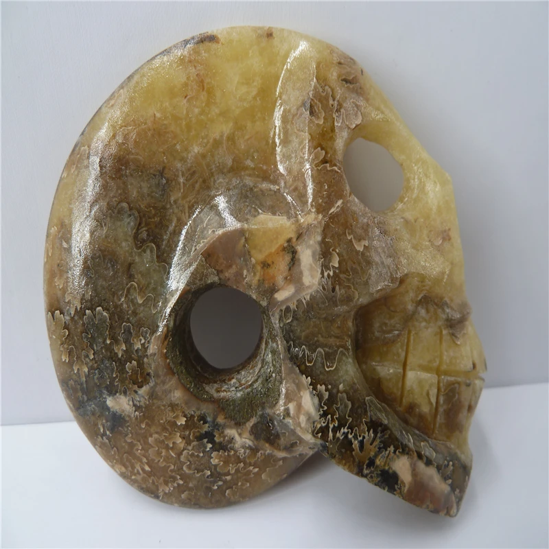 

NATURAL Conch fossil Crystal carved skull HEALING T771