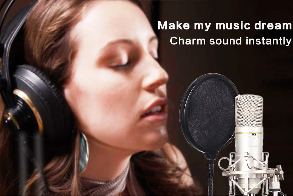 

Free Shipping !!! Condenser Microphone Professional Recording Microphone Music Create Broadcast studio microphone
