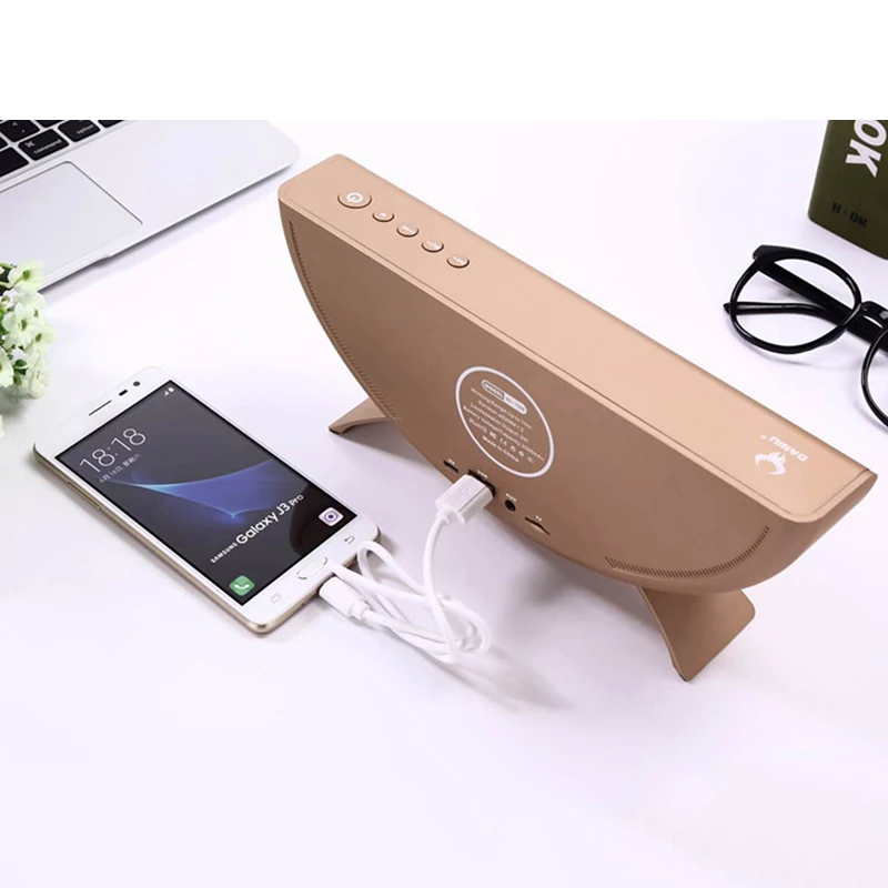 Bluetooth Speaker (2)