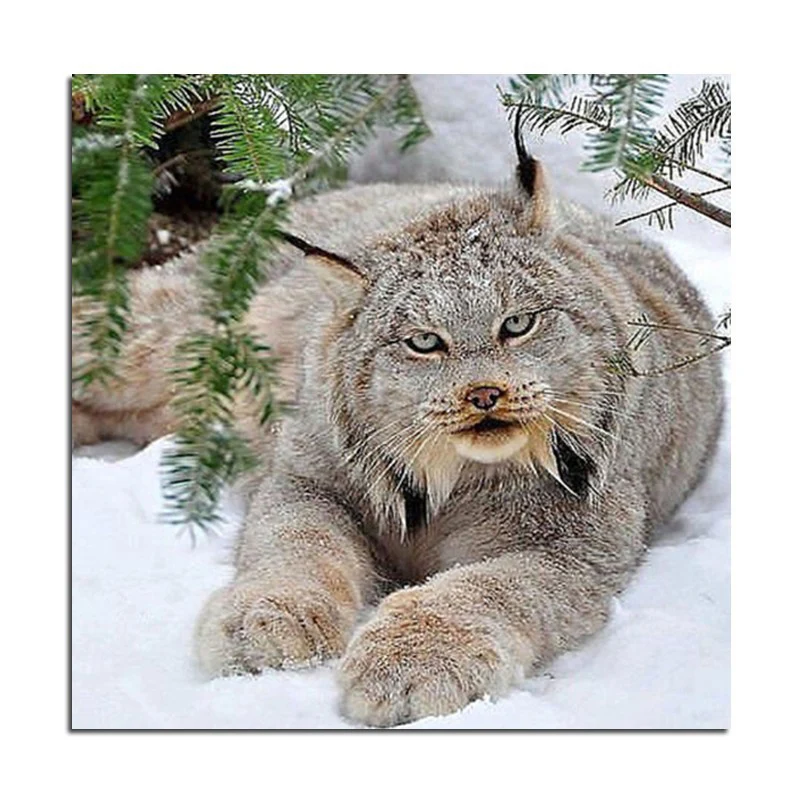 Diamond-embroidery-snow-Cat-Diy-diamond-painting-full-square-drill-rhinestone-pasted-Crafts-Needlework-home-decoration