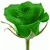 Au nom de la rose - Page 11 Pots-fleurs-planteurs-rose-verte-des-graines-rainbow-rose-belle-fleur-bonsa-plantes-semences-graines-pour.jpg_50x50
