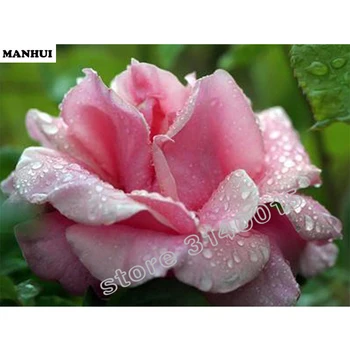 

NEW 3D Diamond Painting Cross Stitch Roses Crystal Needlework Diamond Embroidery Flower Full Diamond Decorative BEC013