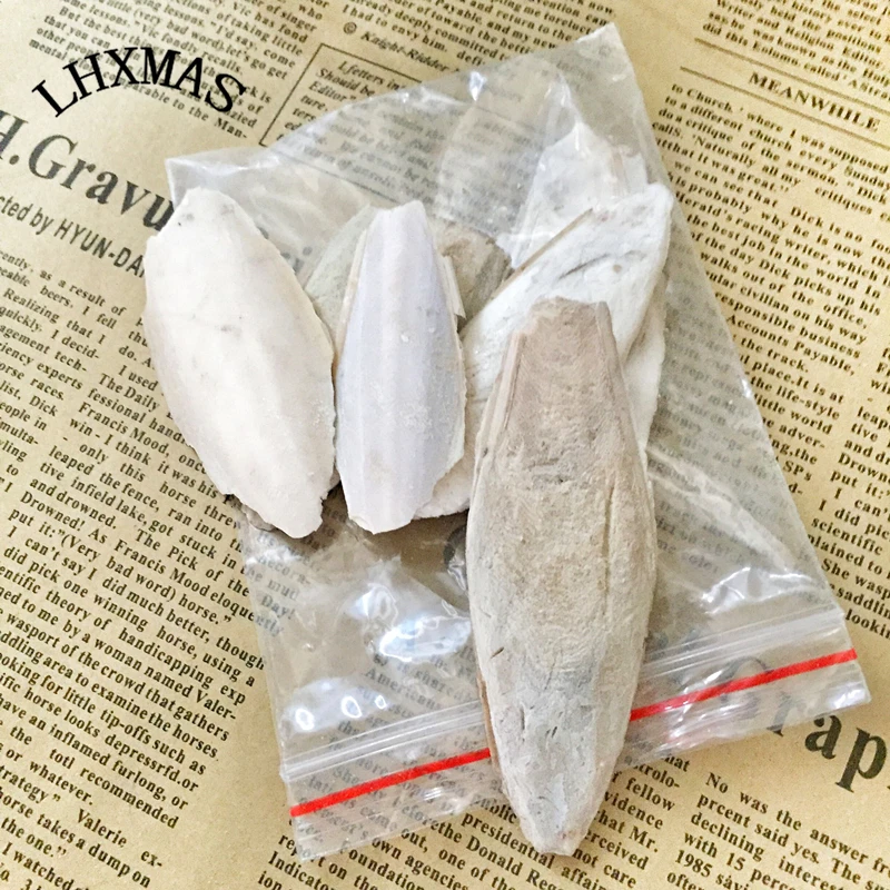 

1Set Pet Bird Food Cuttlefish Bone Toy For Bird Parrot Turtle Wholesale D119