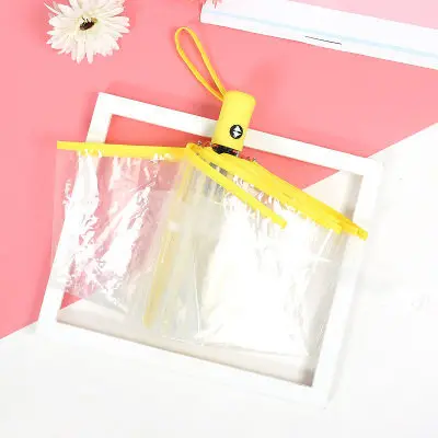 clear-umbrella (11)