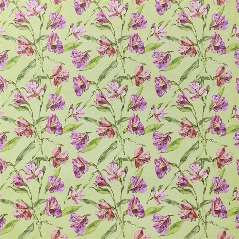 6 (10)