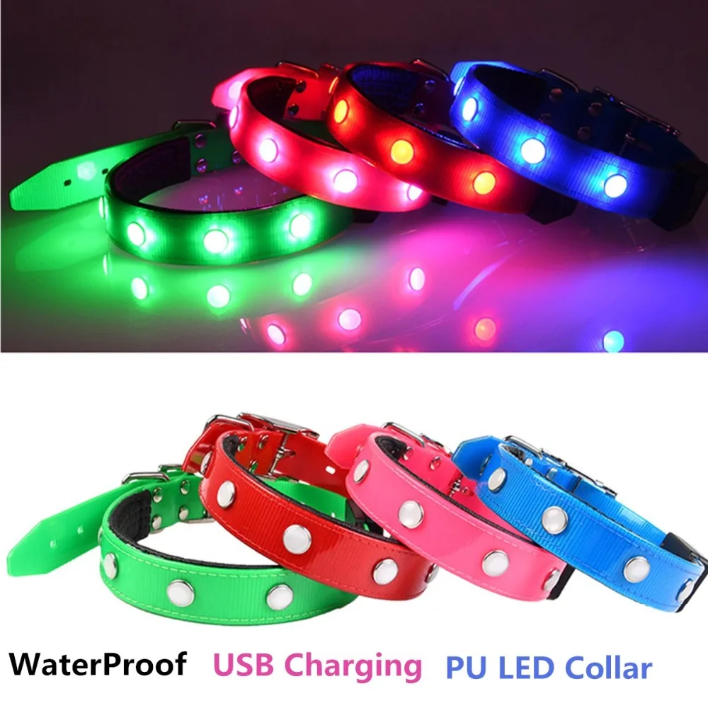 N55 Newest Waterproof Pet Dog LED Collar USB Charging Puppy Dogs Cat