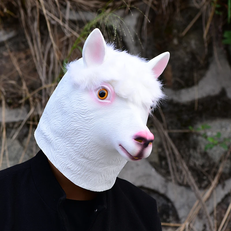 DSC_0232
