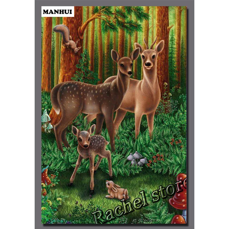DS260  20x30