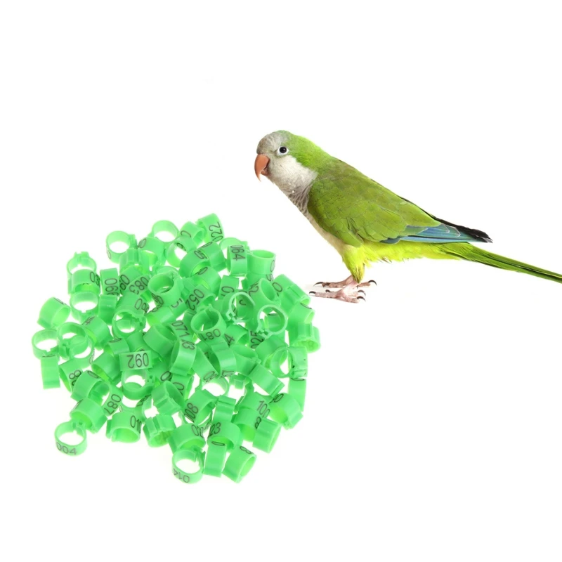 100Pcs 10mm Training font b Supplies b font Leg Number Bird Identify Ring Carrier Pigeon