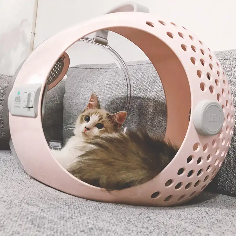 capsule cat carrier