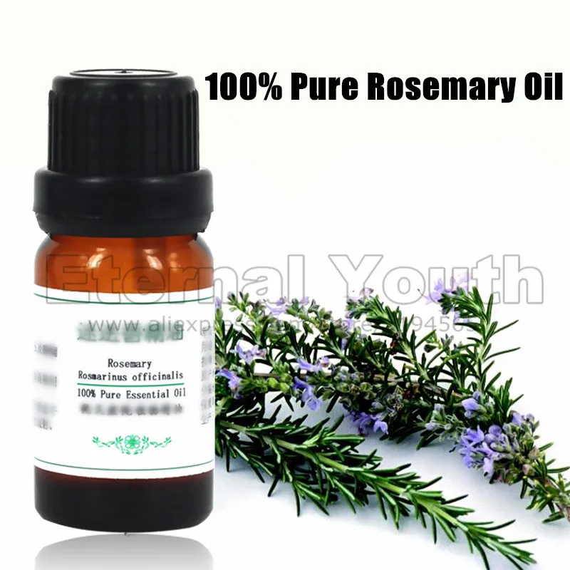 Pure Rosemary Essential Oil 10ml Skin Care Eliminate Muscle Pain
