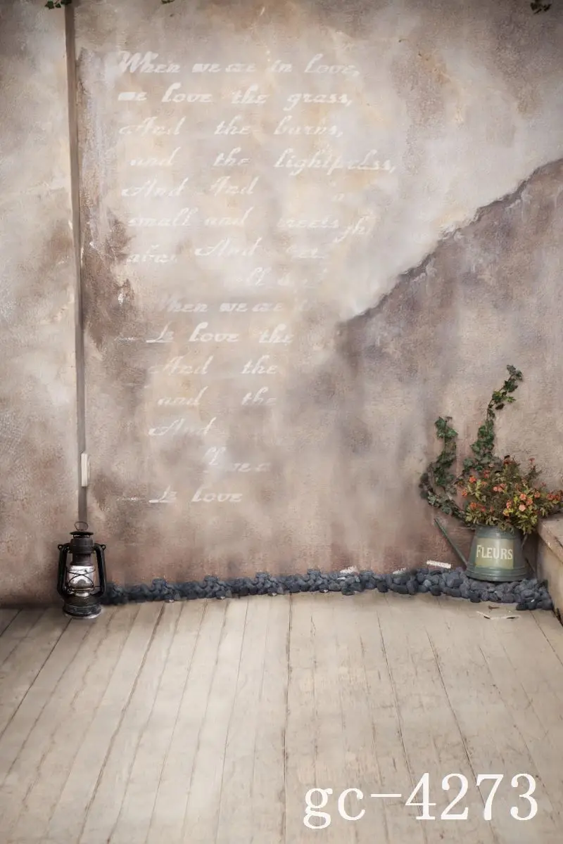 

3*5M Art Cloth Custom Photography Backdrops Prop Indoor theme Studio Background GC-4273