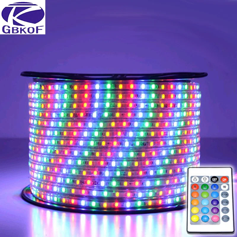 

Waterproof SMD 5050 AC220V LED Strip Flexible Light 60leds/m RGB Led Tape LED Light With Power Plug with Remote Controller