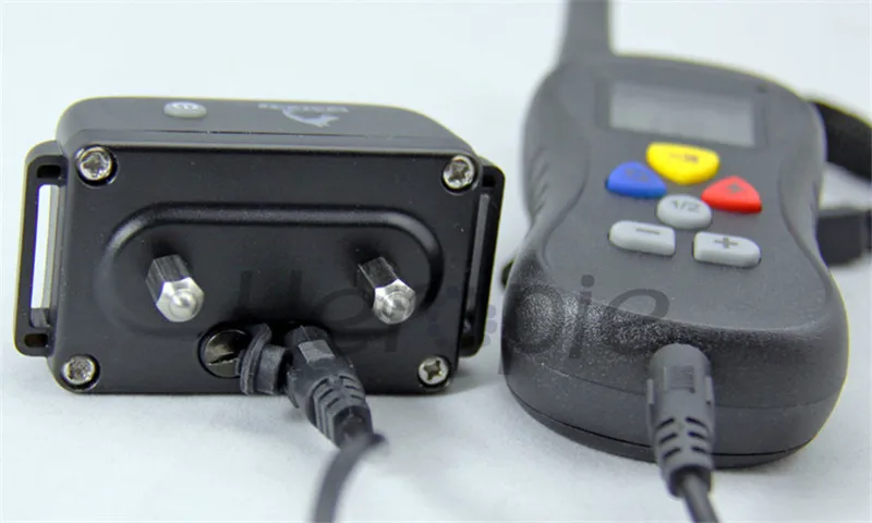 C10