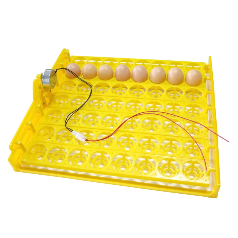 56 Eggs Incubator Chicken Duck And Other Poultry Automatic Incubator Poultry Eggs Poultry Incubation Equipment 56 Eggs Incubator Chicken Duck And Other Poultry Automatic Incubator Poultry Eggs Poultry Incubation Equipment