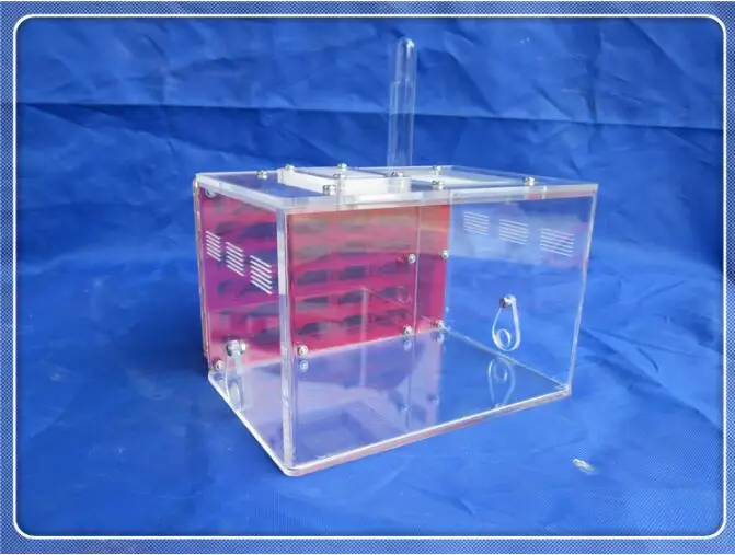 ant-workshop (11)