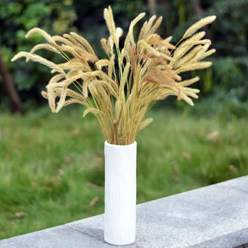 

50 stems Denisfen Natural Plants Dried Flowers Setaria Viridis Fleur Christmas Decorative Flower for Home Decoration Flores
