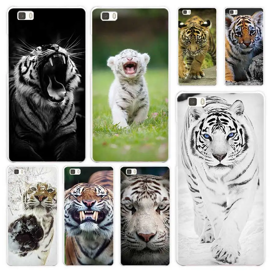 coque huawei p8 lite tigre blanc