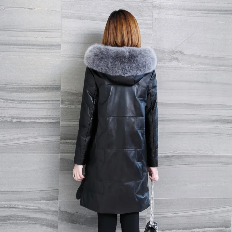 LF4255 (10)