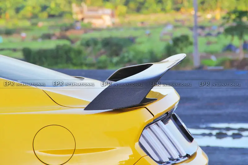 2015 Mustang GT350R Rear Spoiler(6)_1