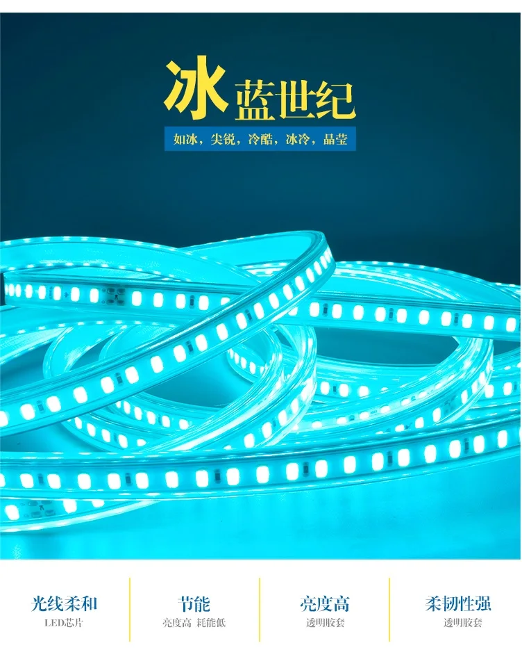 1000m Pack, Outdoor 220V LED Flexible Neon Stripe of Ocean Blue with 5730 Beads / 100m per Spool / 3 Years Warranty