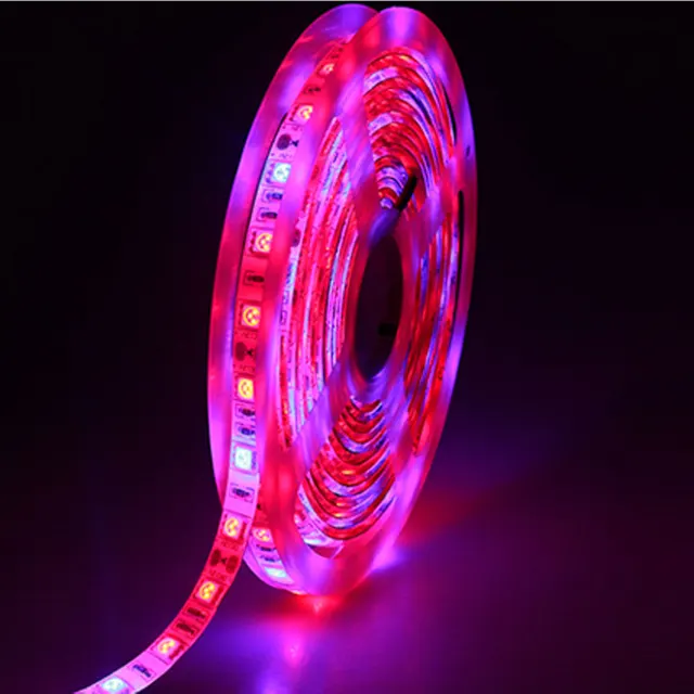 Read Leg grow light strip apologise With you Leg grow light strip opinion