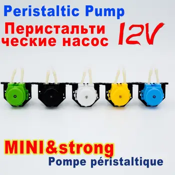 

L type Plate install 12V colour dosing pump peristaltic pump with motor and tube for Aquarium Lab Analytical water tube,5color