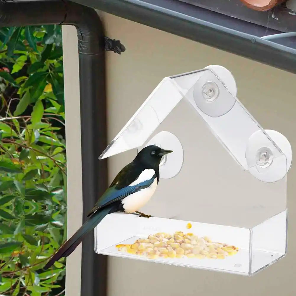 New Transparent Acrylic Weatherproof Bird Feeder Ceiling Window