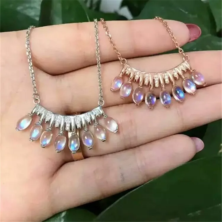 2492356315_1578280619