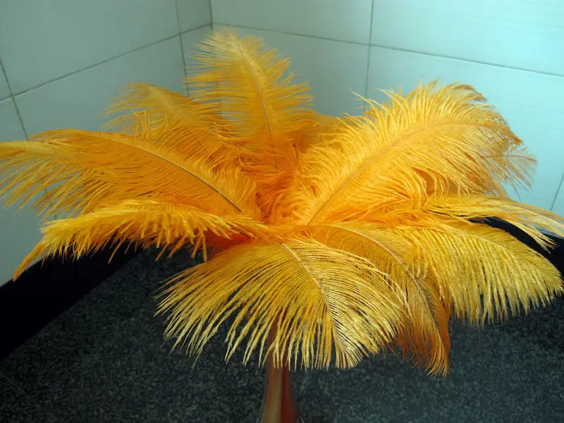 

High quality wedding 10 PCS orange ostrich feathers 45-50cm/18-20inches