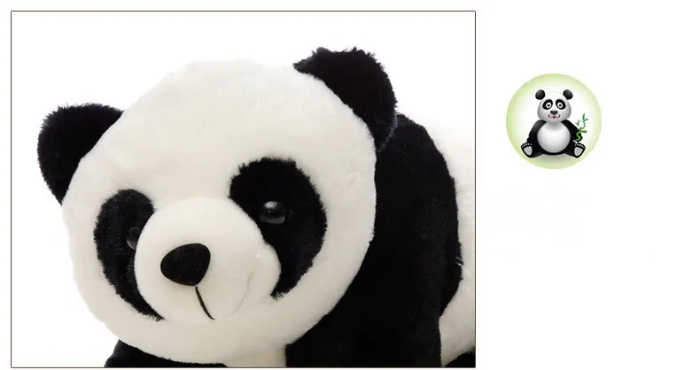 panda 8