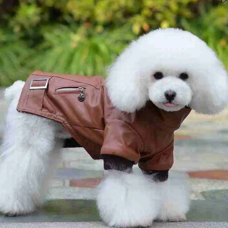 Compra mascotas ropa para perros online al por mayor de