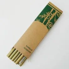 Natural Bamboo Straws Set