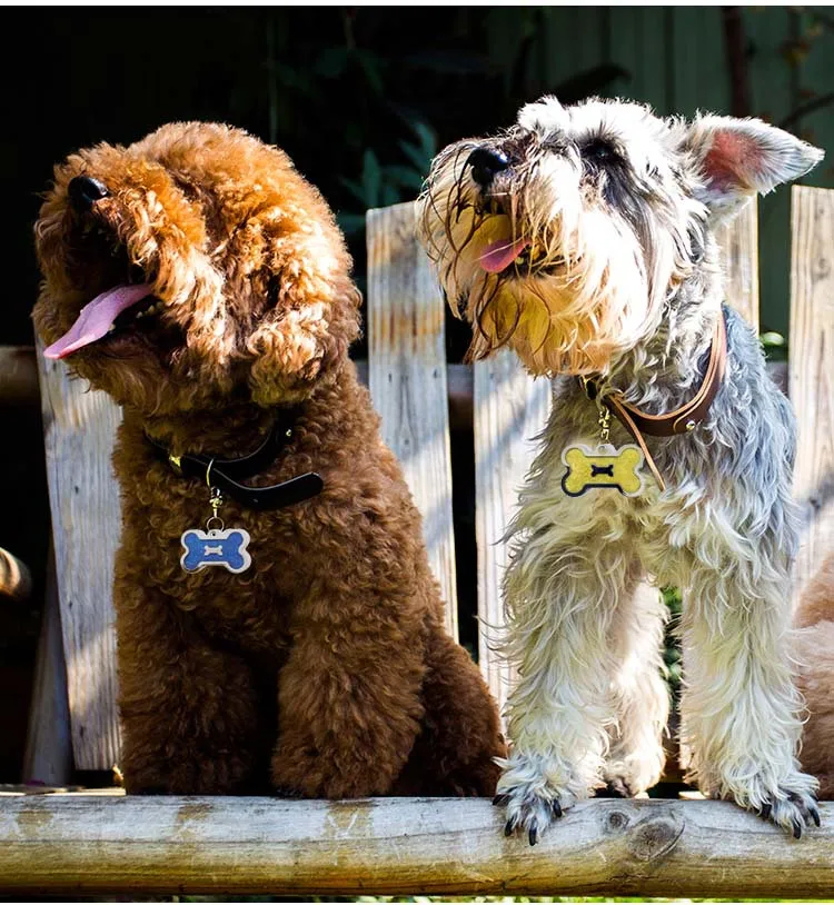 8816409140_1133806796