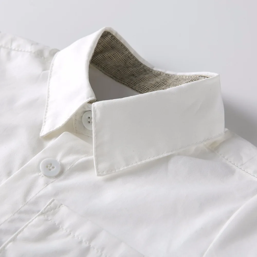 8668029593_189211899