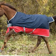 Сезон весна-осень; водонепроницаемый коврик в виде лошади; ветронепроницаемый плащ для лошадей