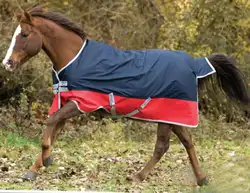 Весна и осень horsecloth водостойкие конные коврики ветрозащитные конные коврики