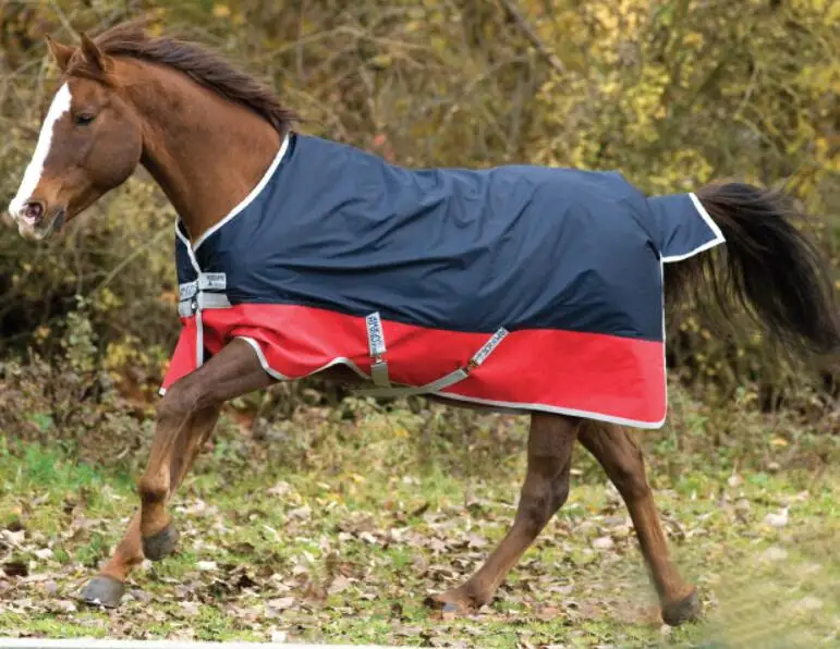 Spring and Autumn horsecloth waterproof Horse Rugs Windproof Horses caparisonin Horse Rugs from