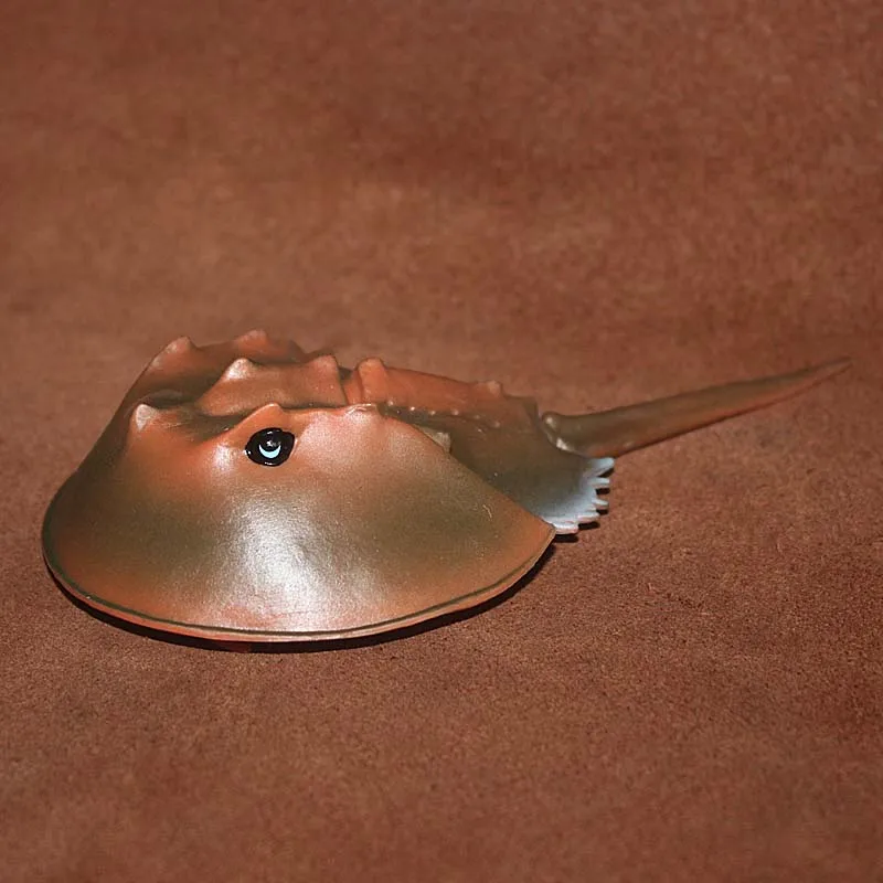 

solid pvc figure Solid horseshoe crab