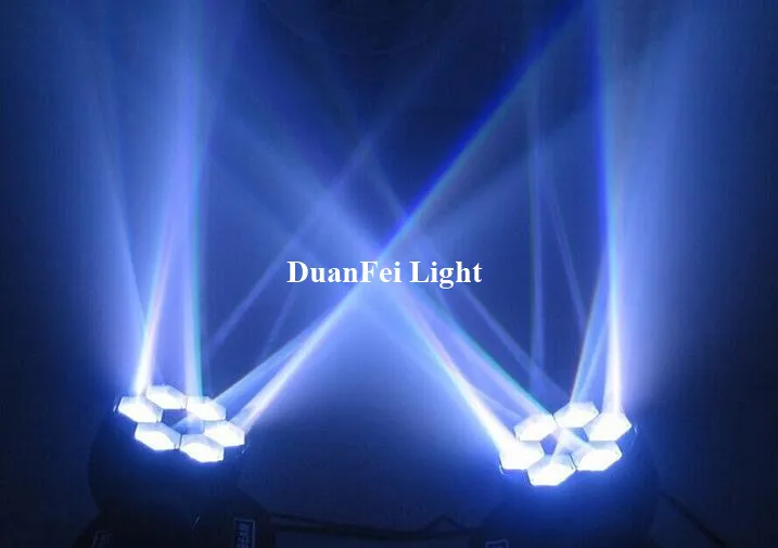 6 bee eyes moving head (23)
